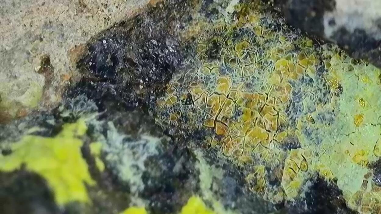 Uranopilite On Uraninite