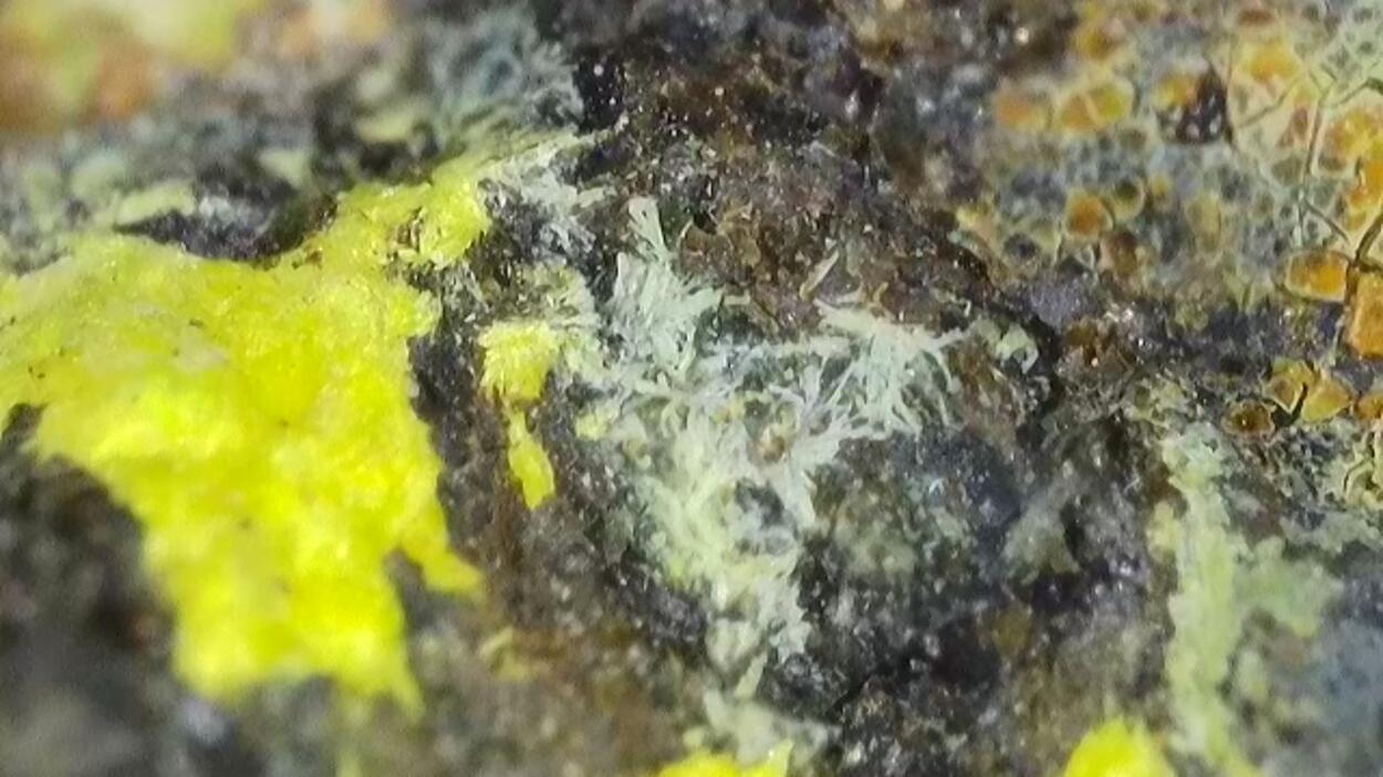 Uranopilite On Uraninite