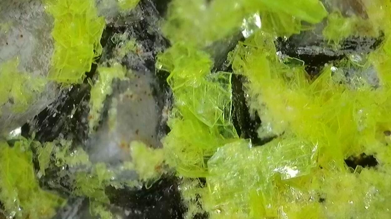 Autunite On Quartz