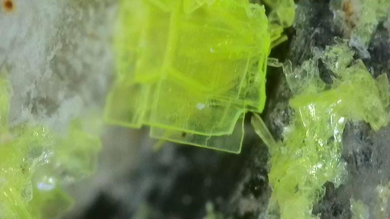 Autunite On Quartz