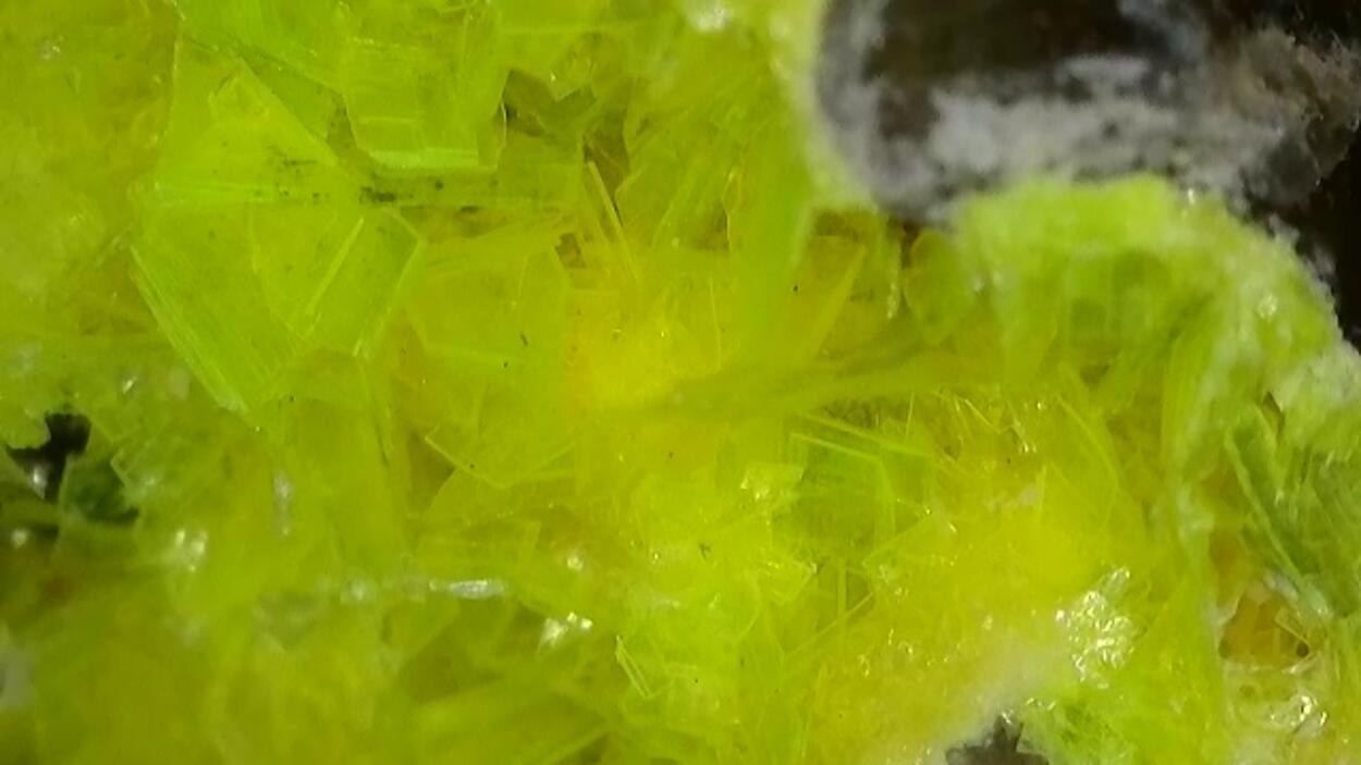 Autunite On Quartz