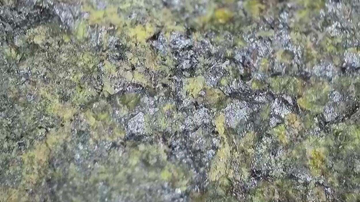 Kasolite With Uranophane & Cuprosklodowskite