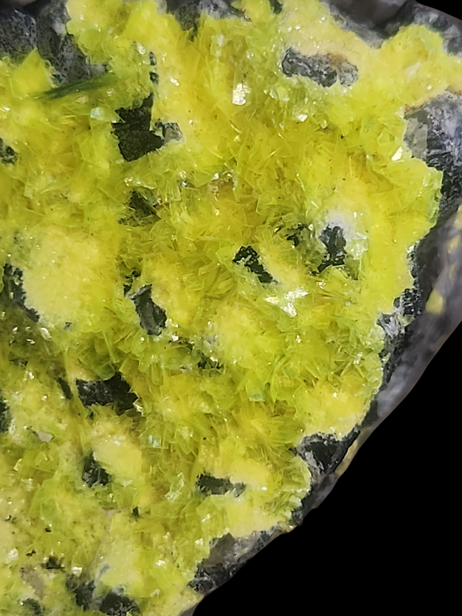 Autunite On Quartz