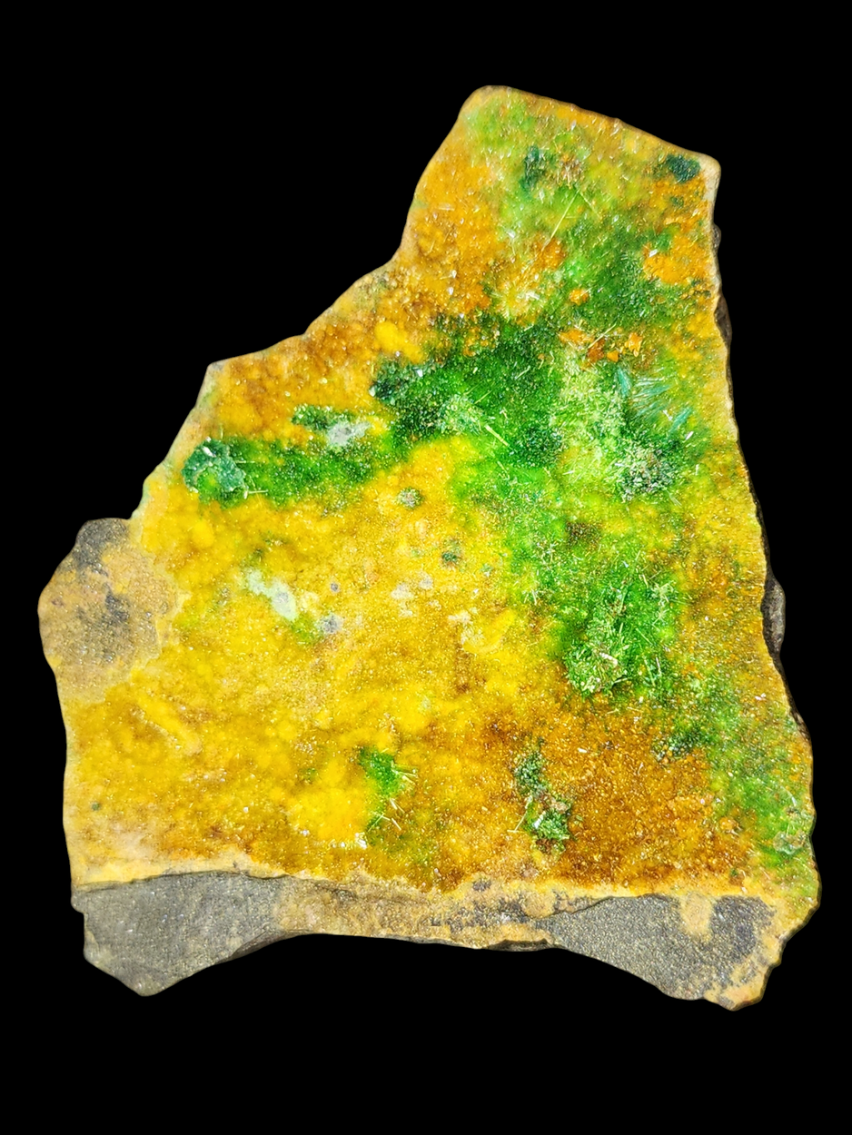 Kasolite With Uranophane & Cuprosklodowskite