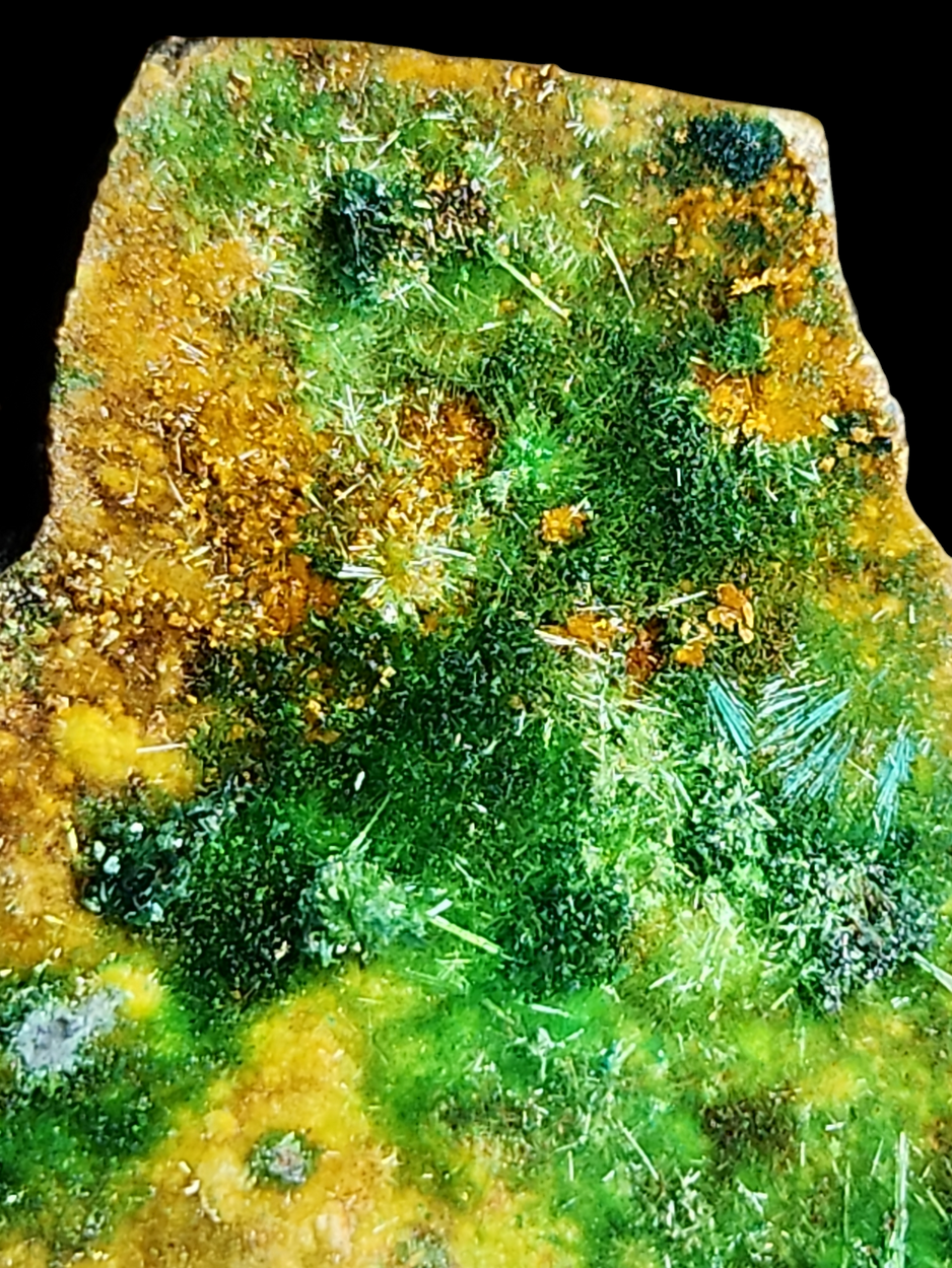 Kasolite With Uranophane & Cuprosklodowskite