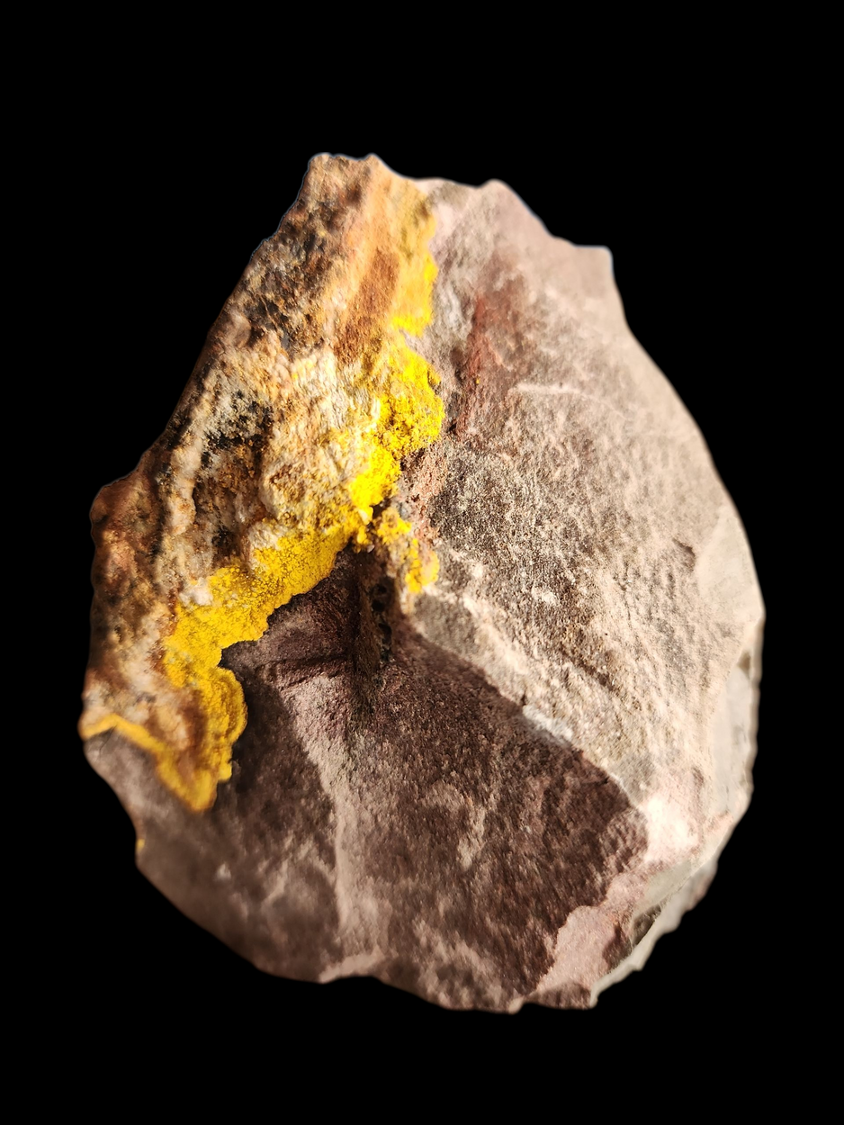 Natrozippeite With Uraninite & Pyrite