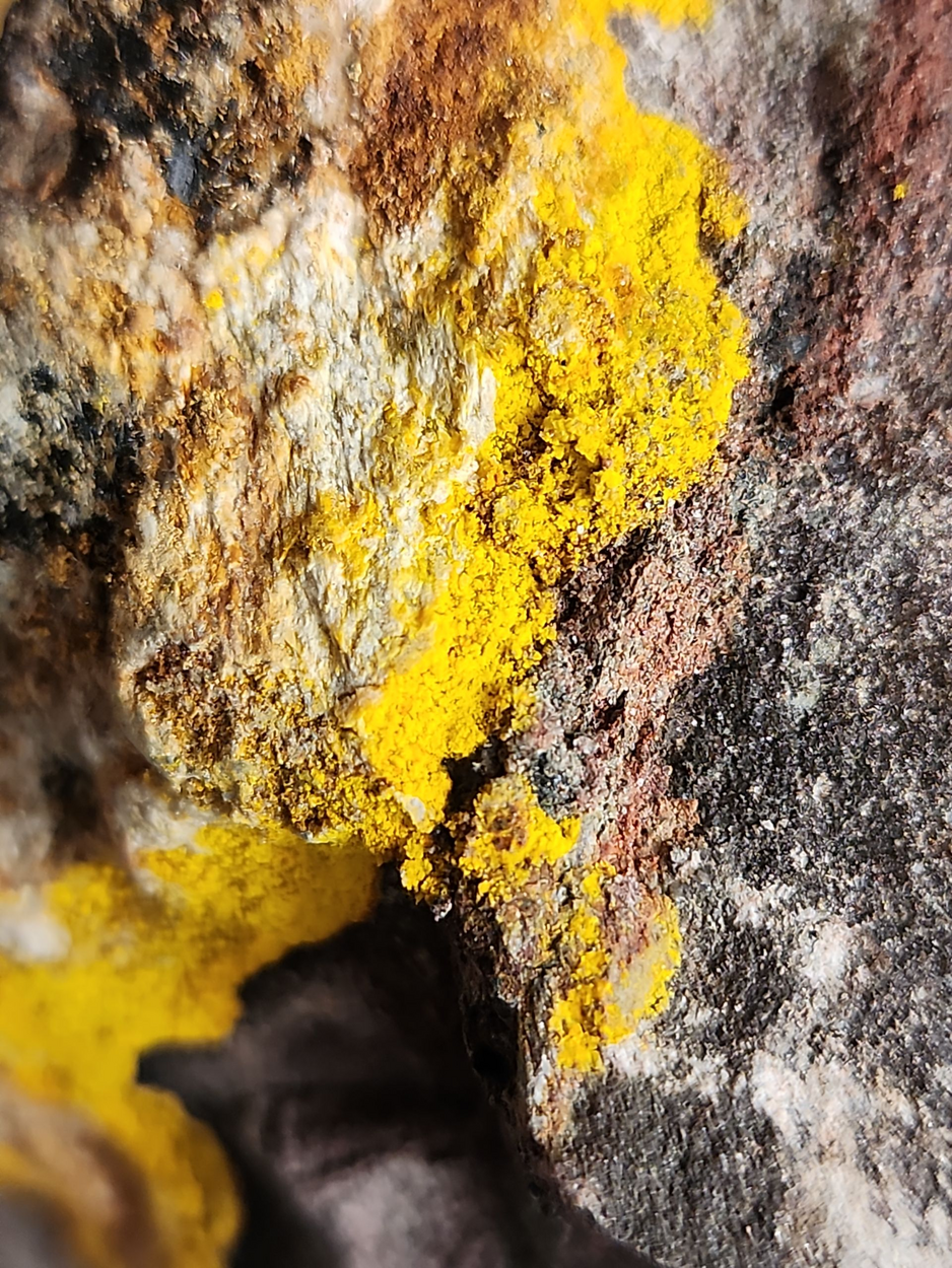 Natrozippeite With Uraninite & Pyrite