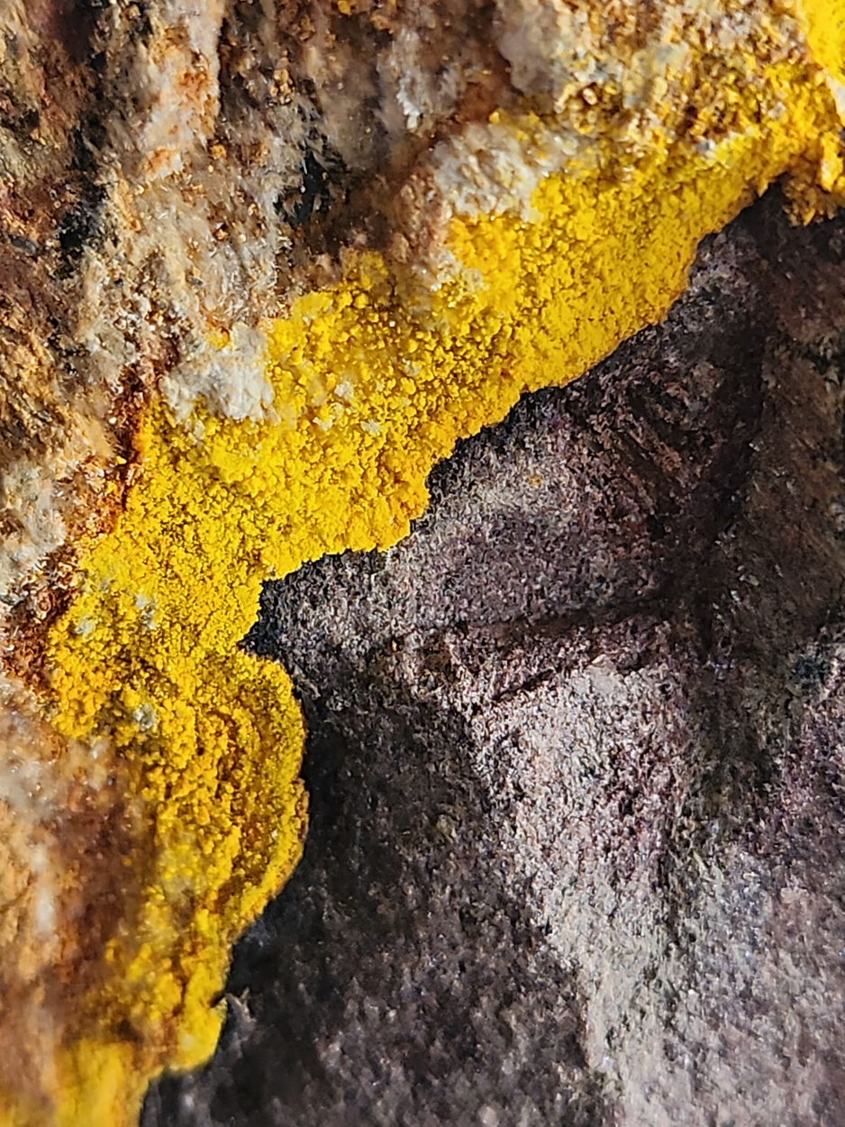 Natrozippeite With Uraninite & Pyrite