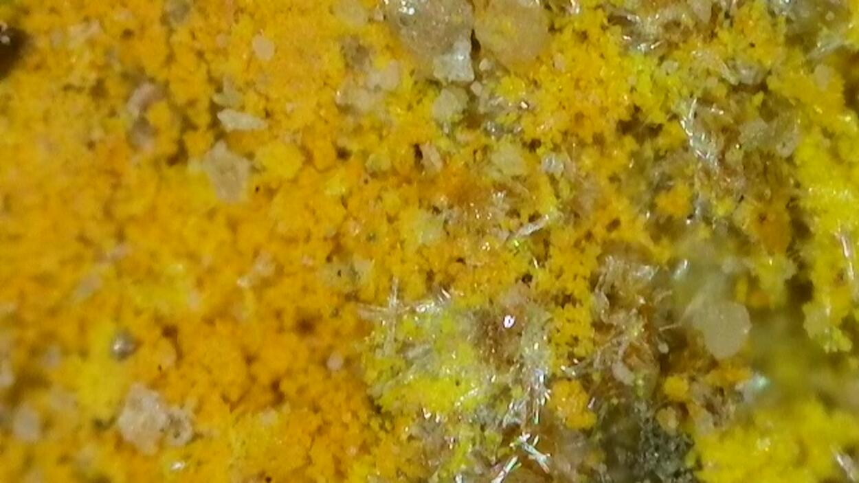 Natrozippeite With Uraninite & Pyrite