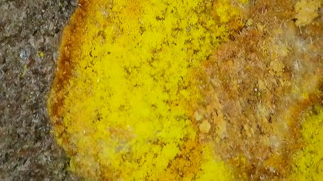 Natrozippeite With Uraninite & Pyrite