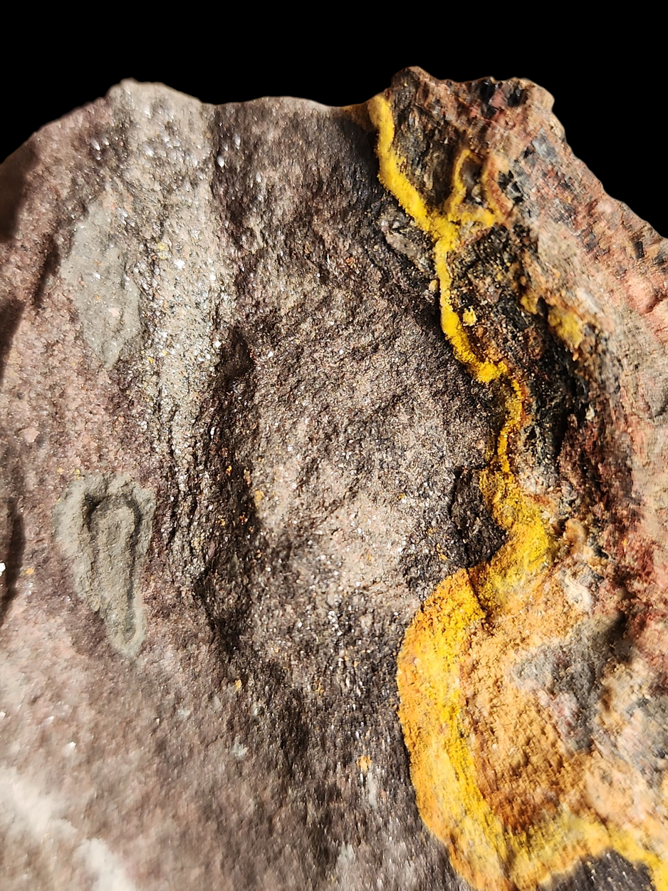 Natrozippeite With Uraninite & Pyrite