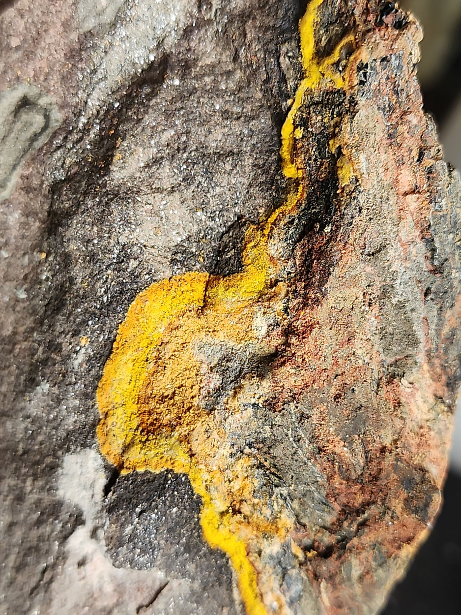 Natrozippeite With Uraninite & Pyrite