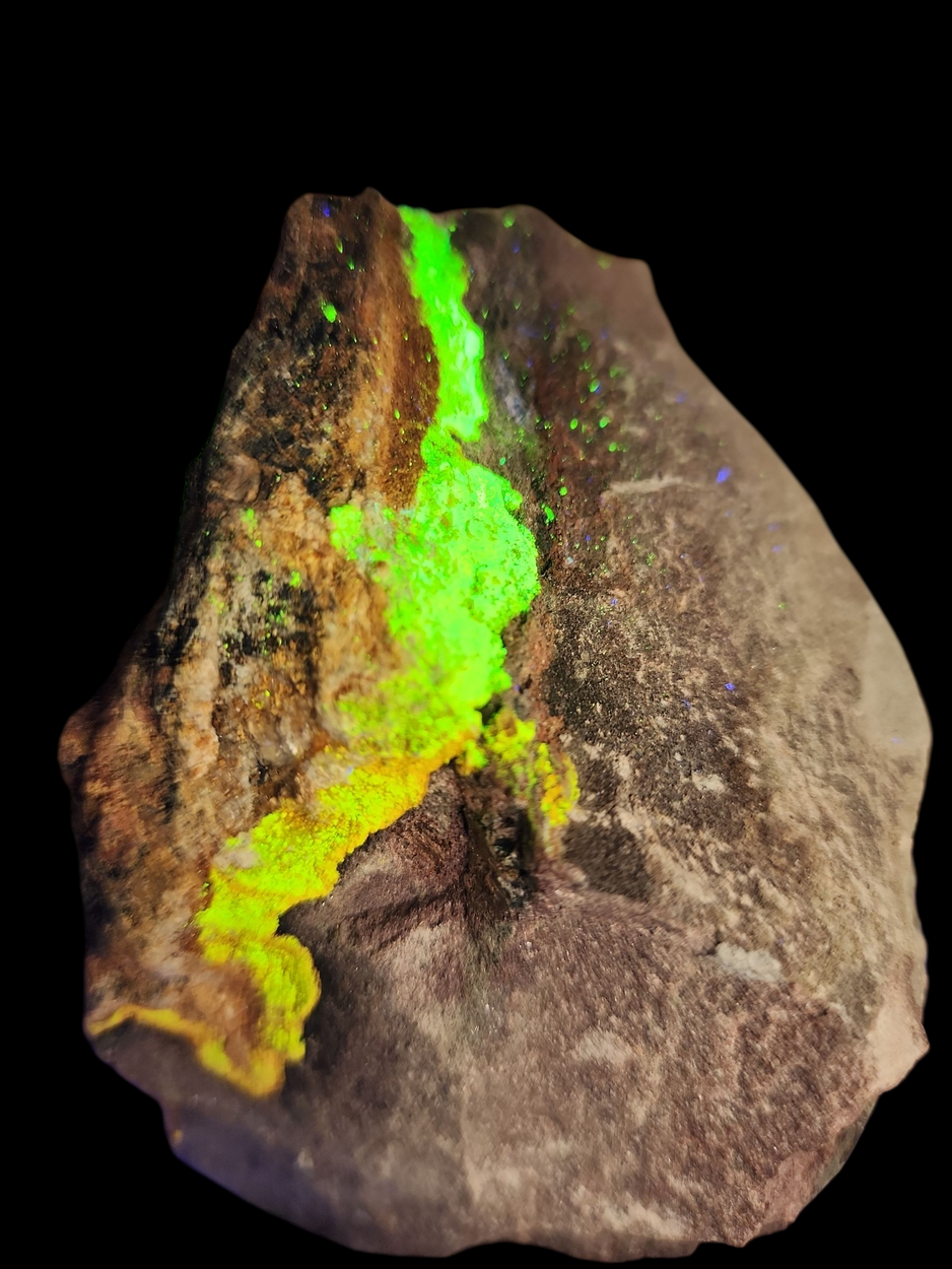 Natrozippeite With Uraninite & Pyrite