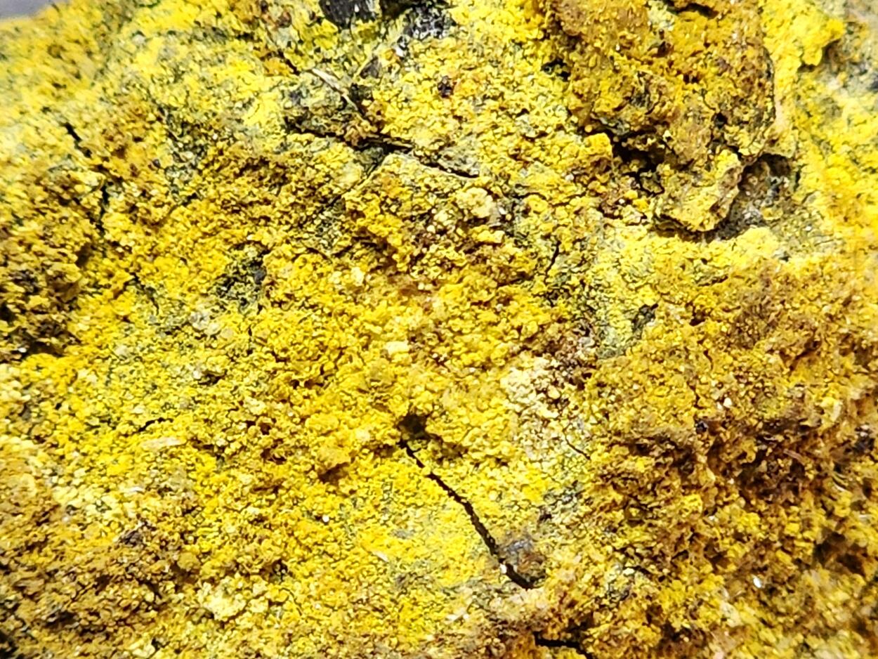 Carnotite On Uraninite