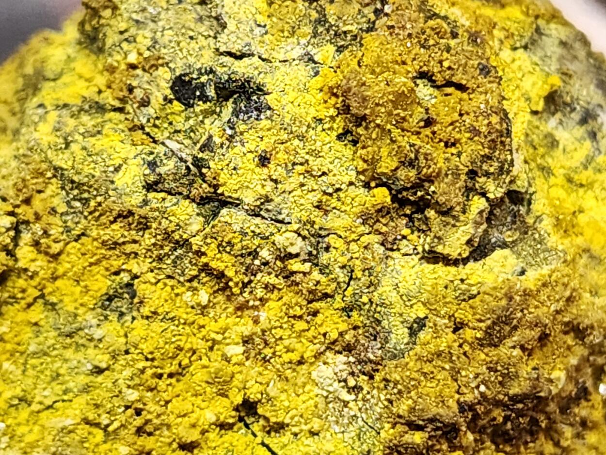 Carnotite On Uraninite