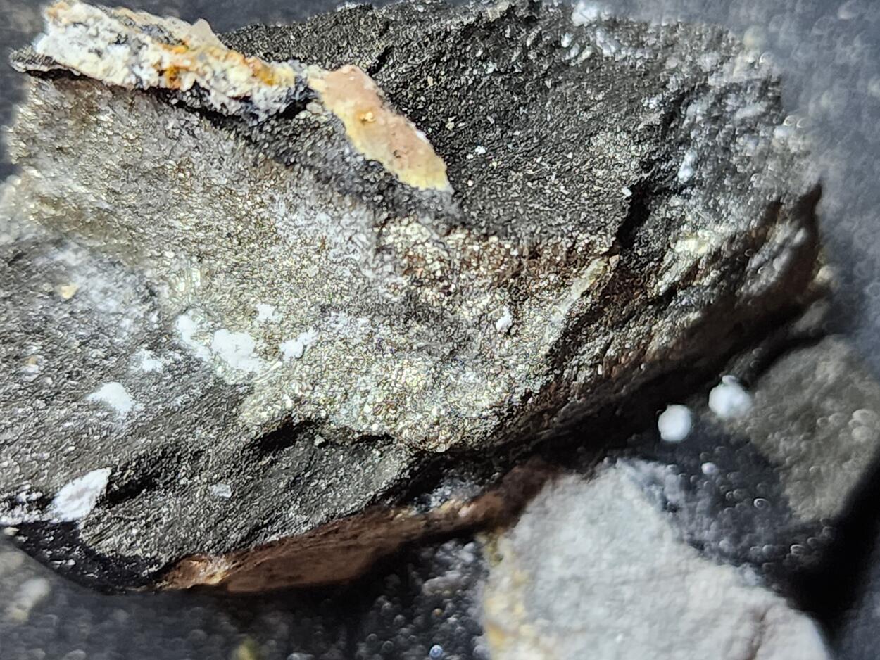 Pyrite In Carbon Wood