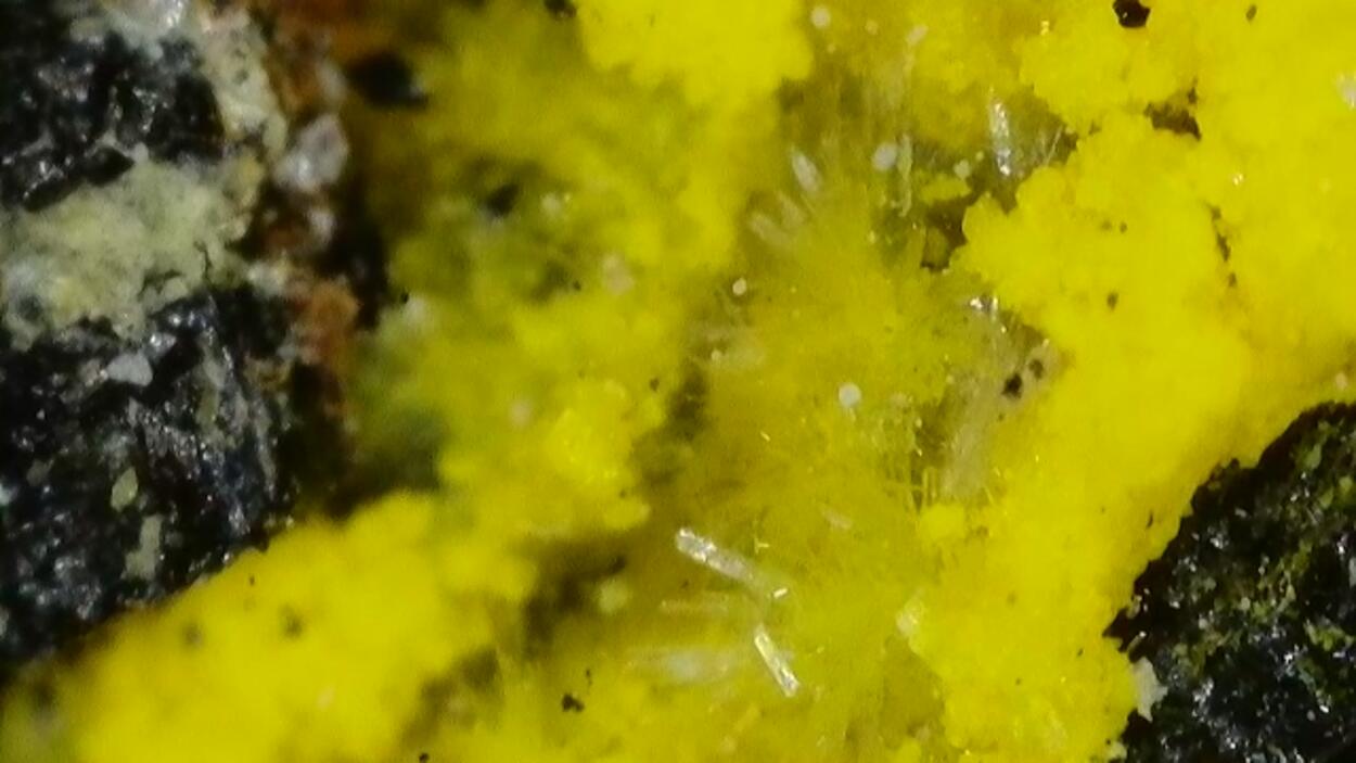 Natrozippeite On Uraninite