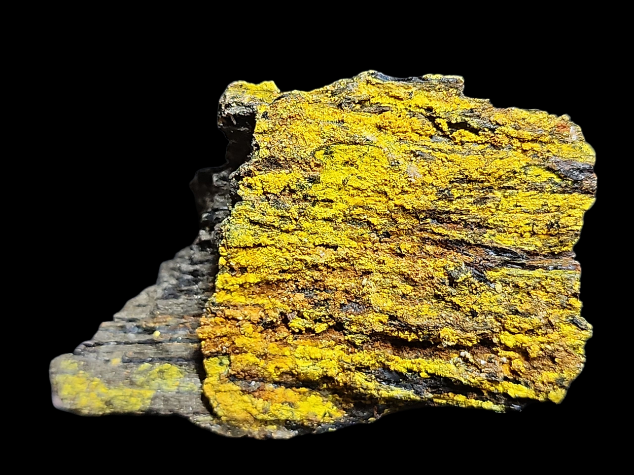 Natrozippeite & Natrojarosite On Uraninite Psm Wood