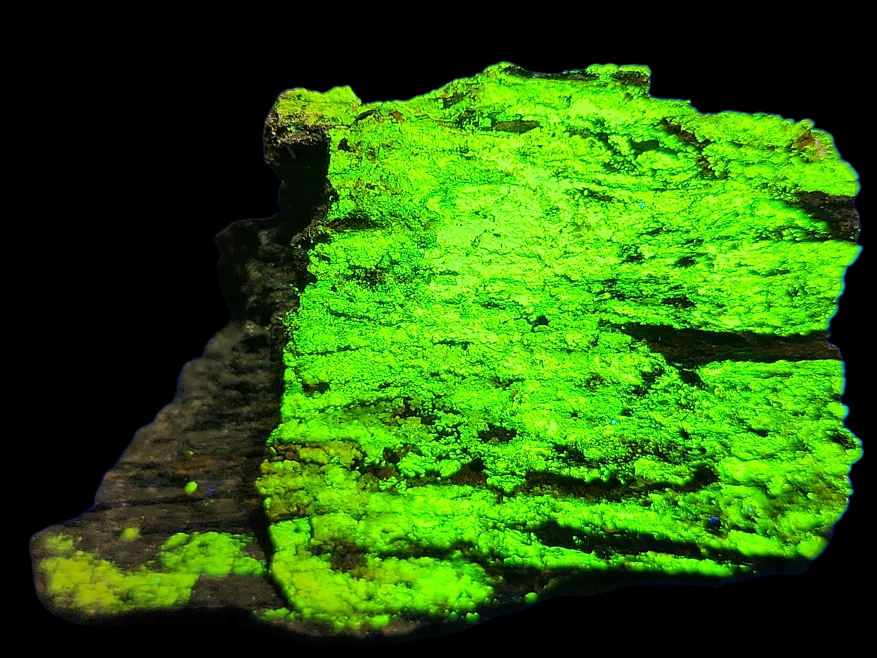 Natrozippeite & Natrojarosite On Uraninite Psm Wood