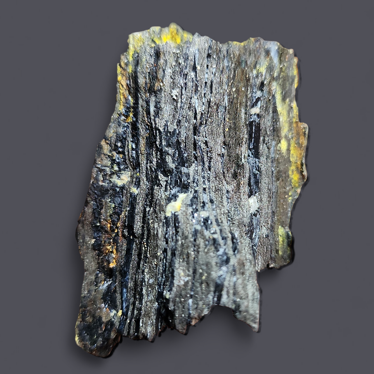 Natrozippeite & Natrojarosite On Uraninite Psm Wood