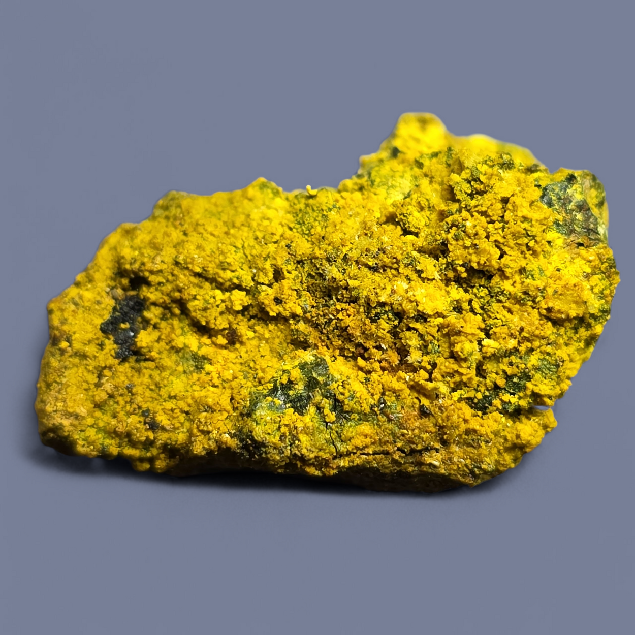 Carnotite In Uraninite