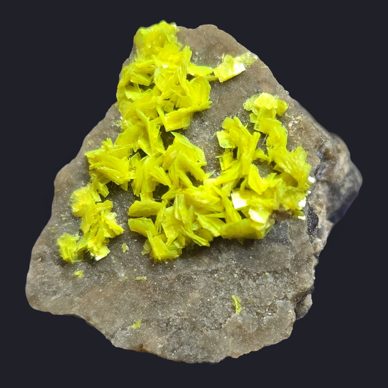 Autunite On Granite
