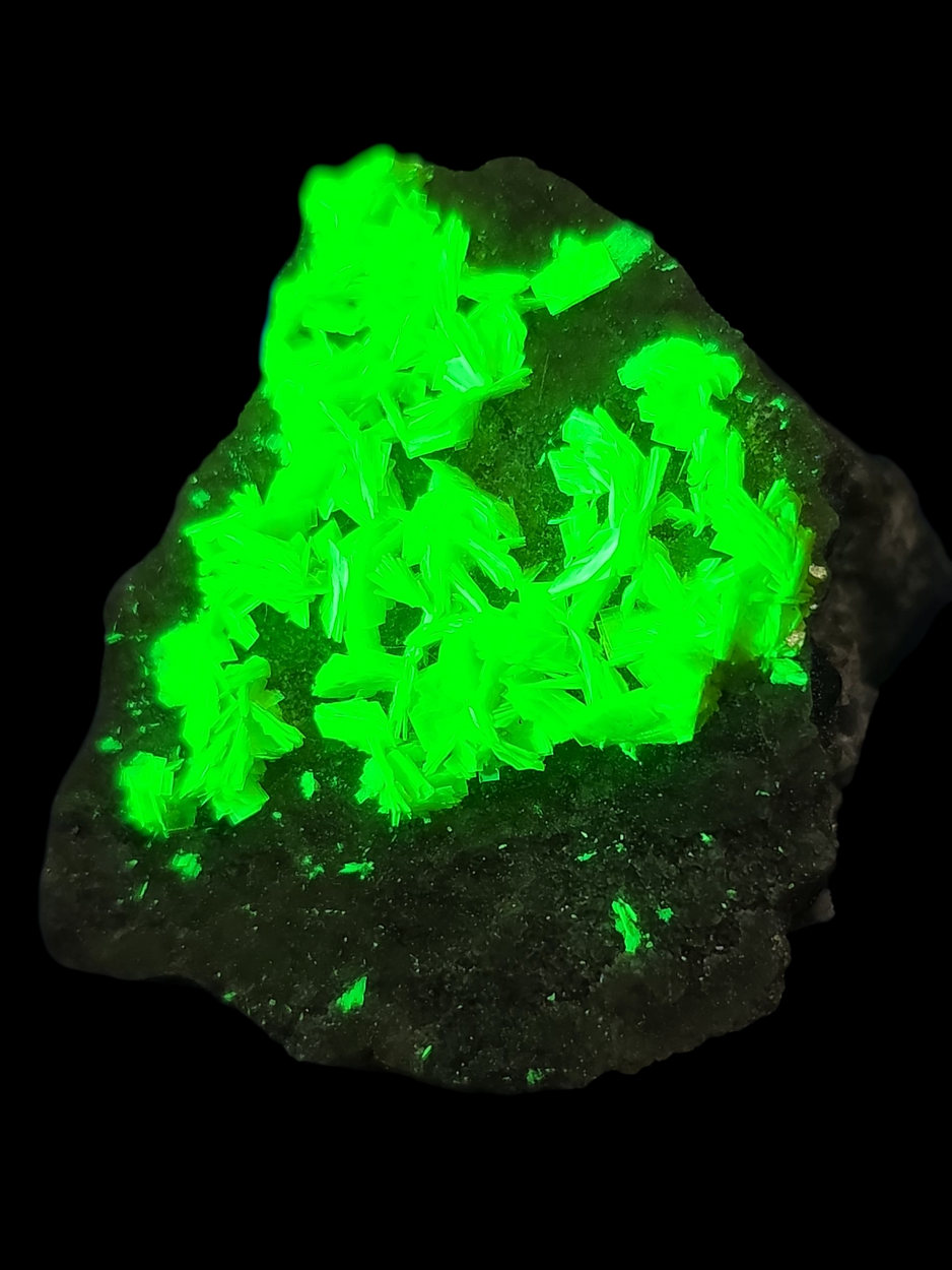 Autunite On Granite