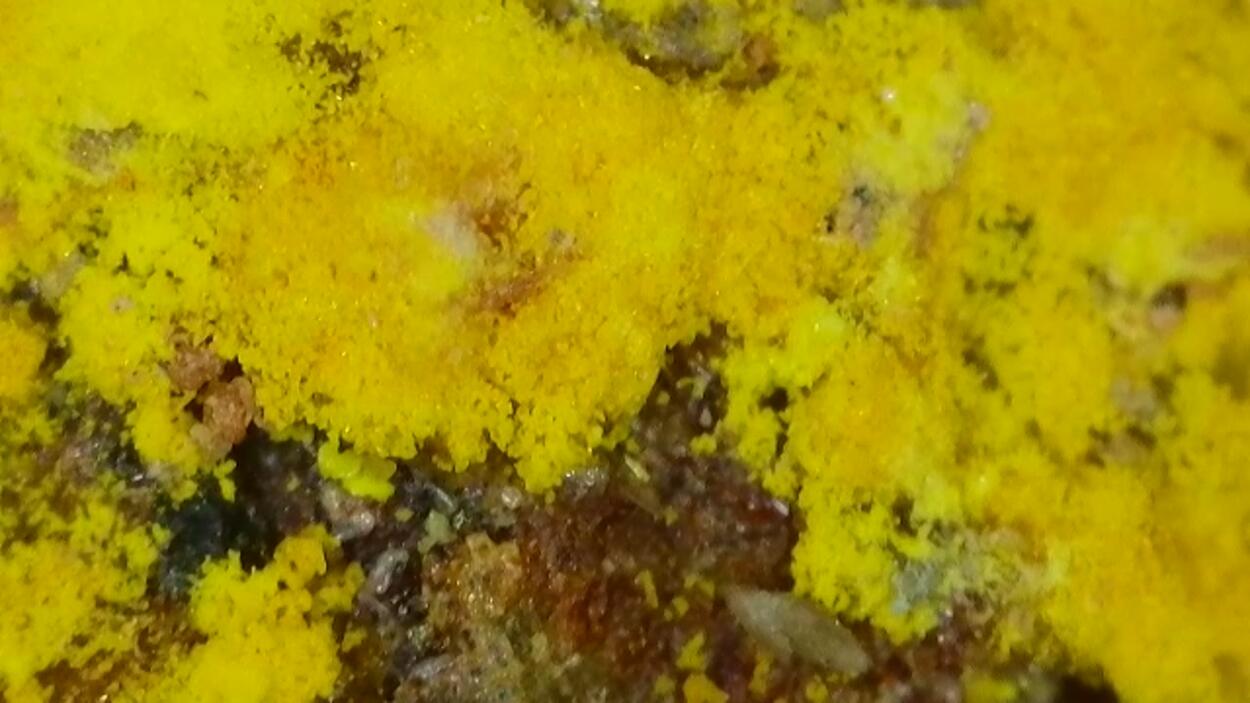 Zippeite On Uraninite