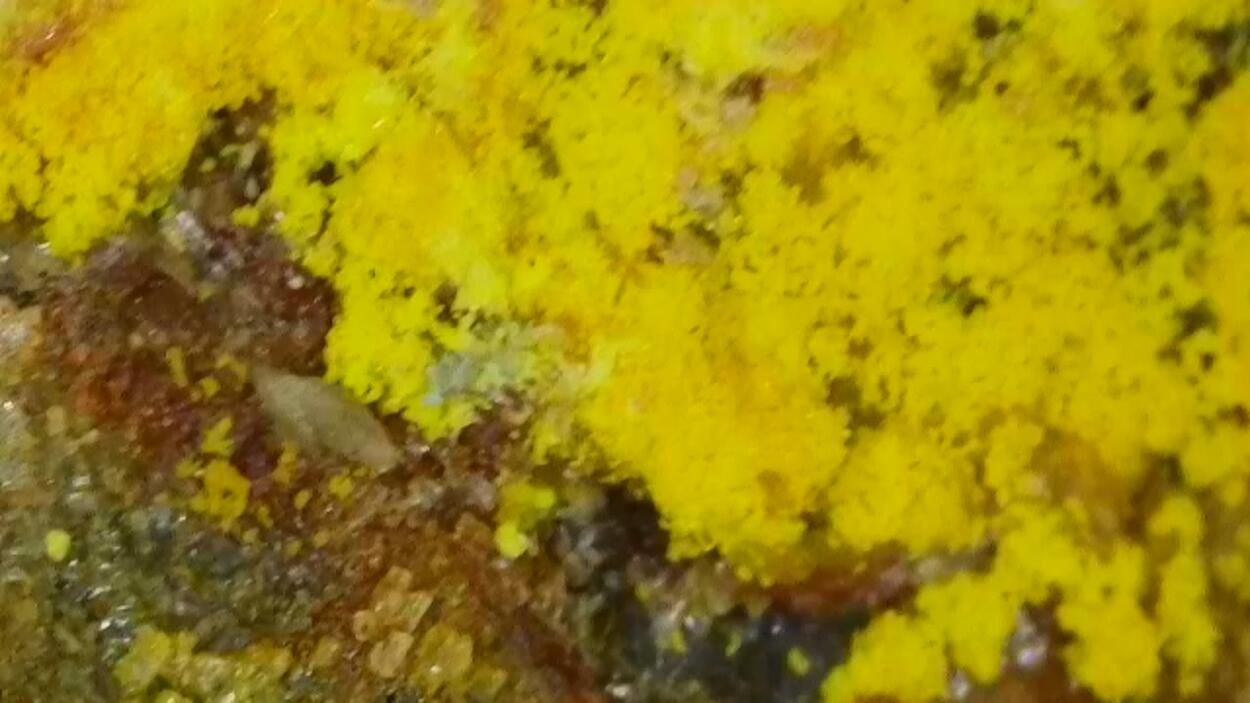 Zippeite On Uraninite