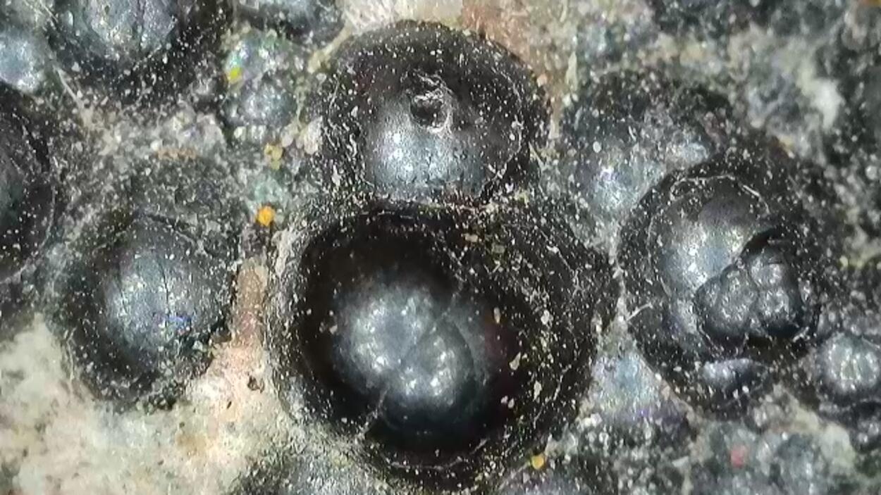 Uraninite On Calcite