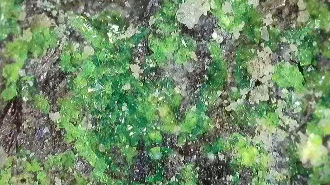 Andersonite With Uraninite & Pyrite