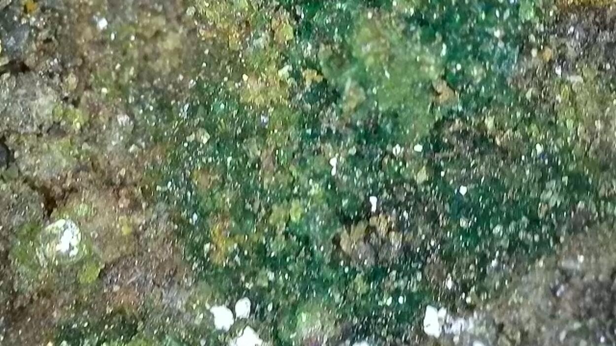 Zippeite With Andersonite On Uraninite & Pyrite