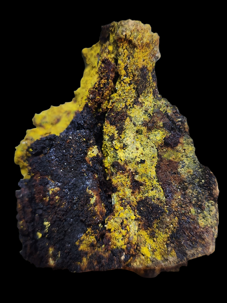 Carnotite On Uraninite