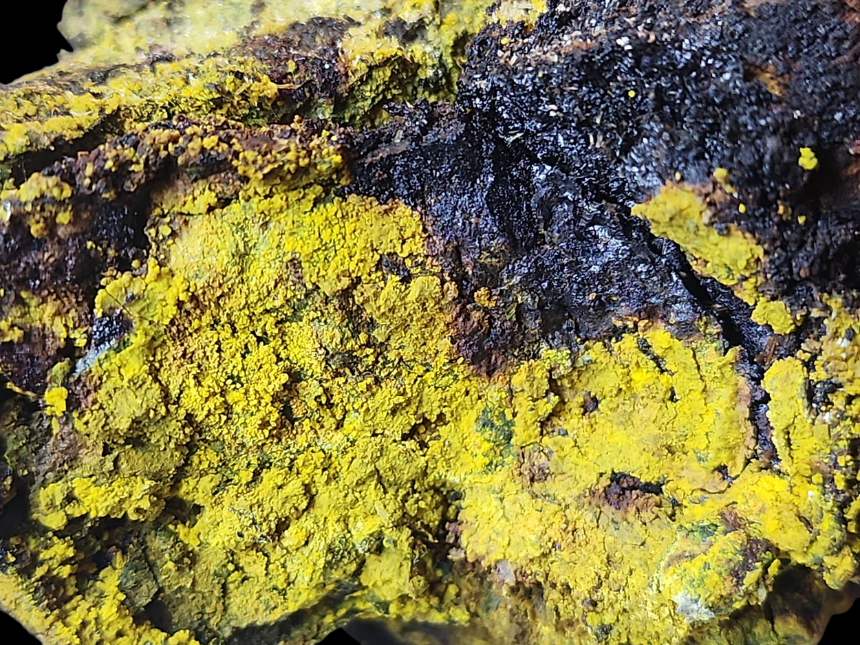Carnotite On Uraninite