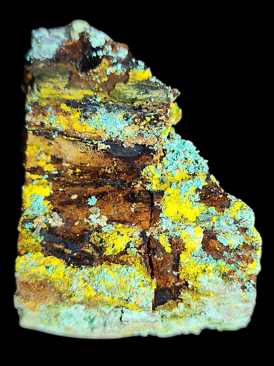 Natrozippeite On Petrified Wood With Malachite