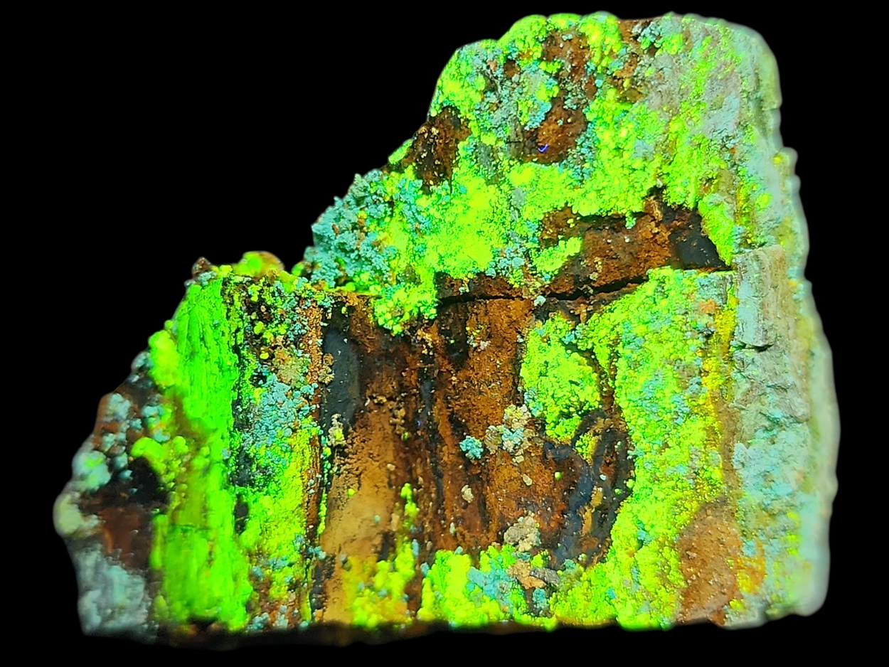 Natrozippeite On Petrified Wood With Malachite