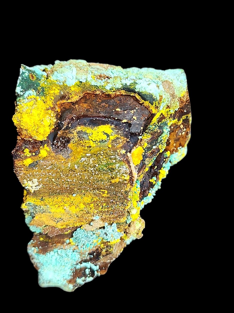 Natrozippeite On Petrified Wood With Malachite