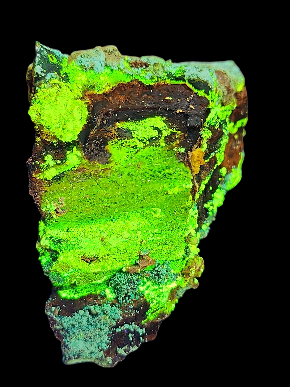 Natrozippeite On Petrified Wood With Malachite