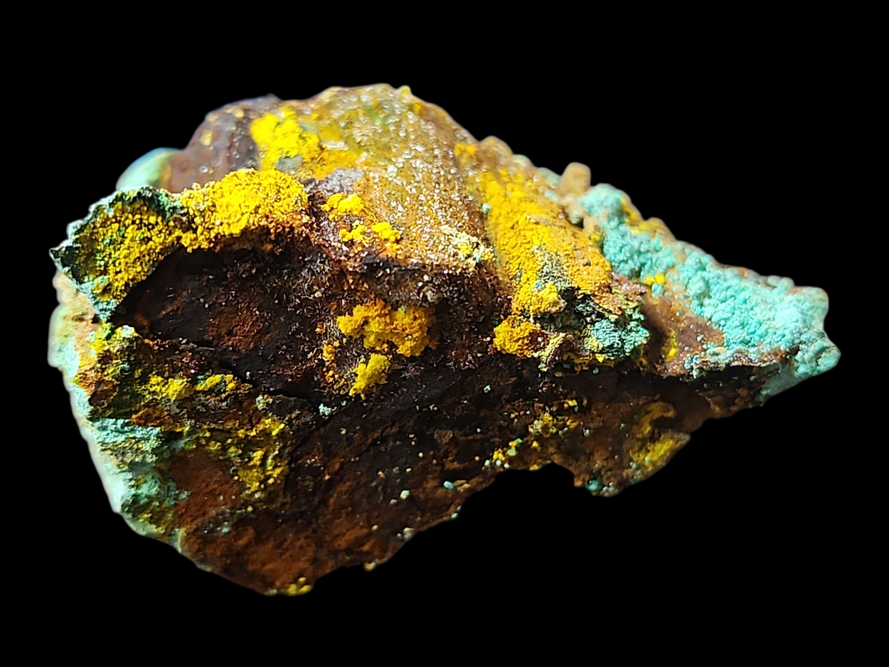 Natrozippeite On Petrified Wood With Malachite