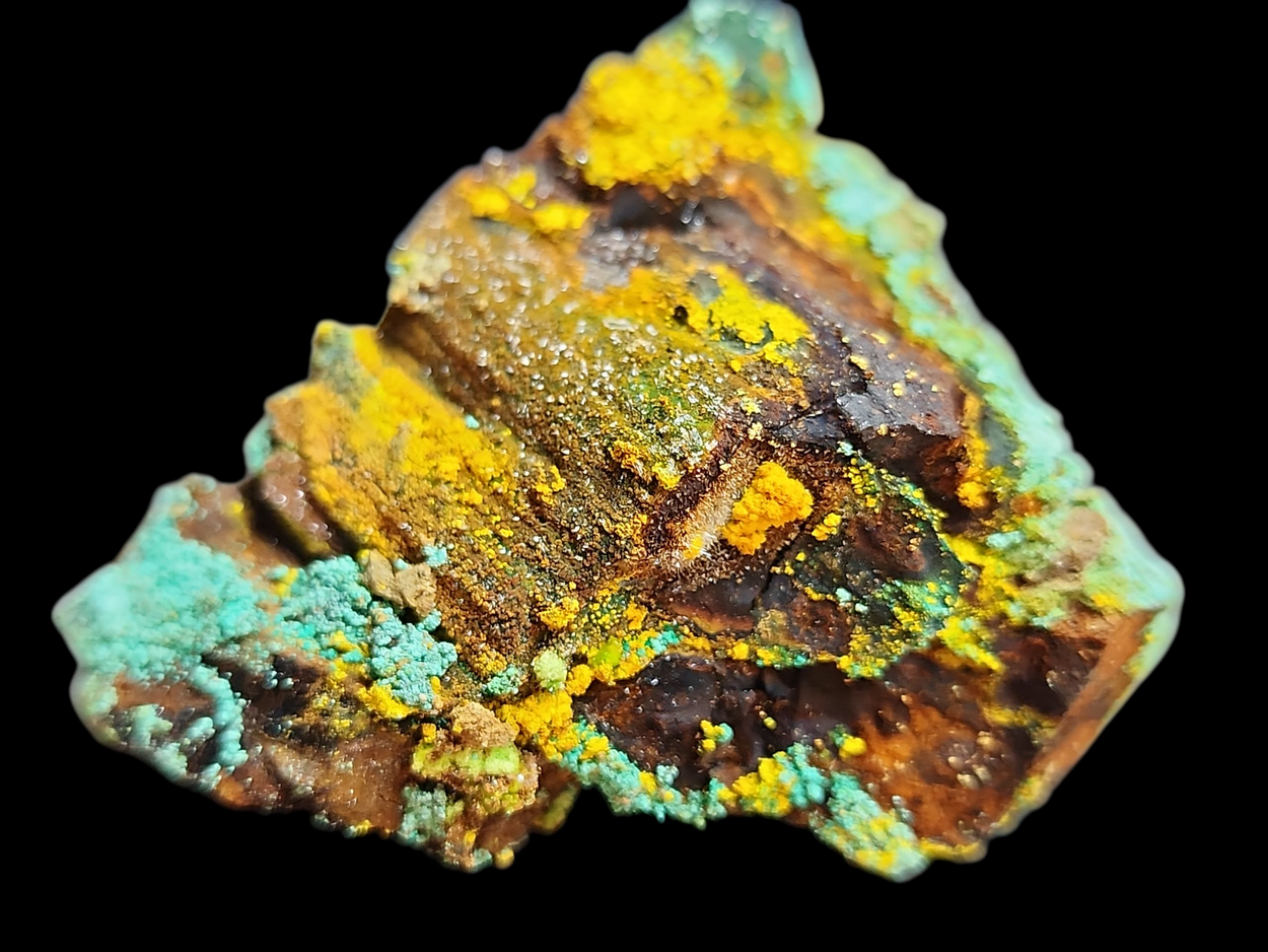 Natrozippeite On Petrified Wood With Malachite