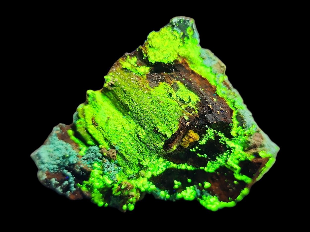 Natrozippeite On Petrified Wood With Malachite
