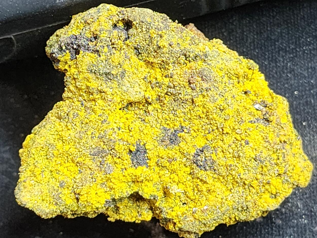 Carnotite On Uraninite