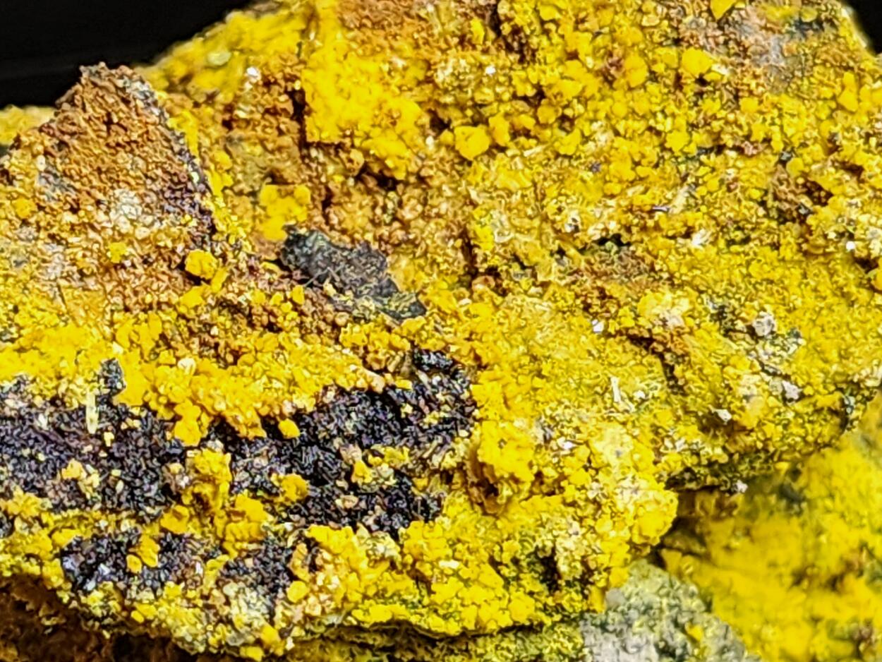 Carnotite On Uraninite