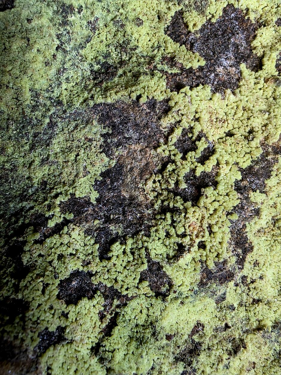 Andersonite On Uraninite In Sandstone With Pyrite