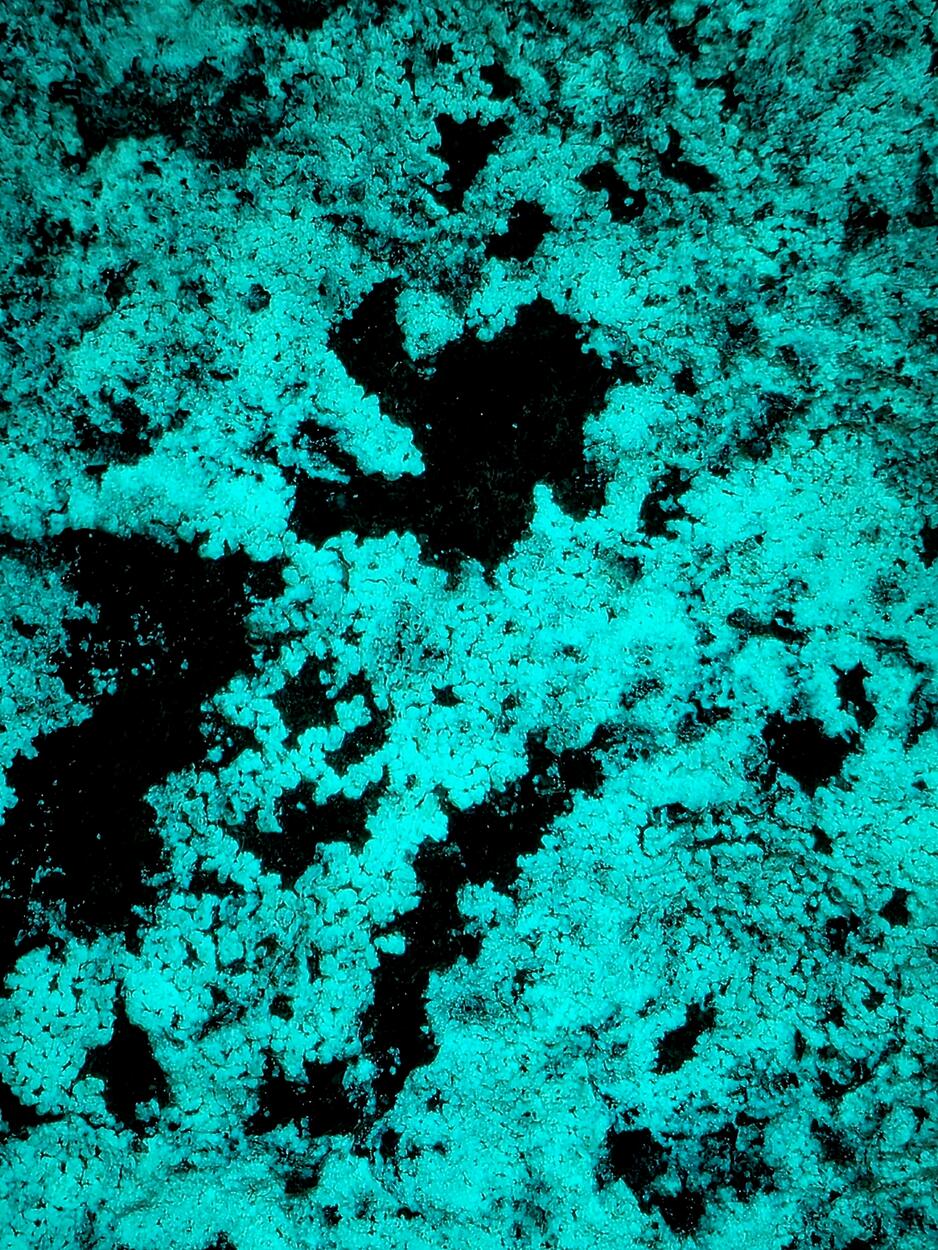 Andersonite On Uraninite In Sandstone With Pyrite