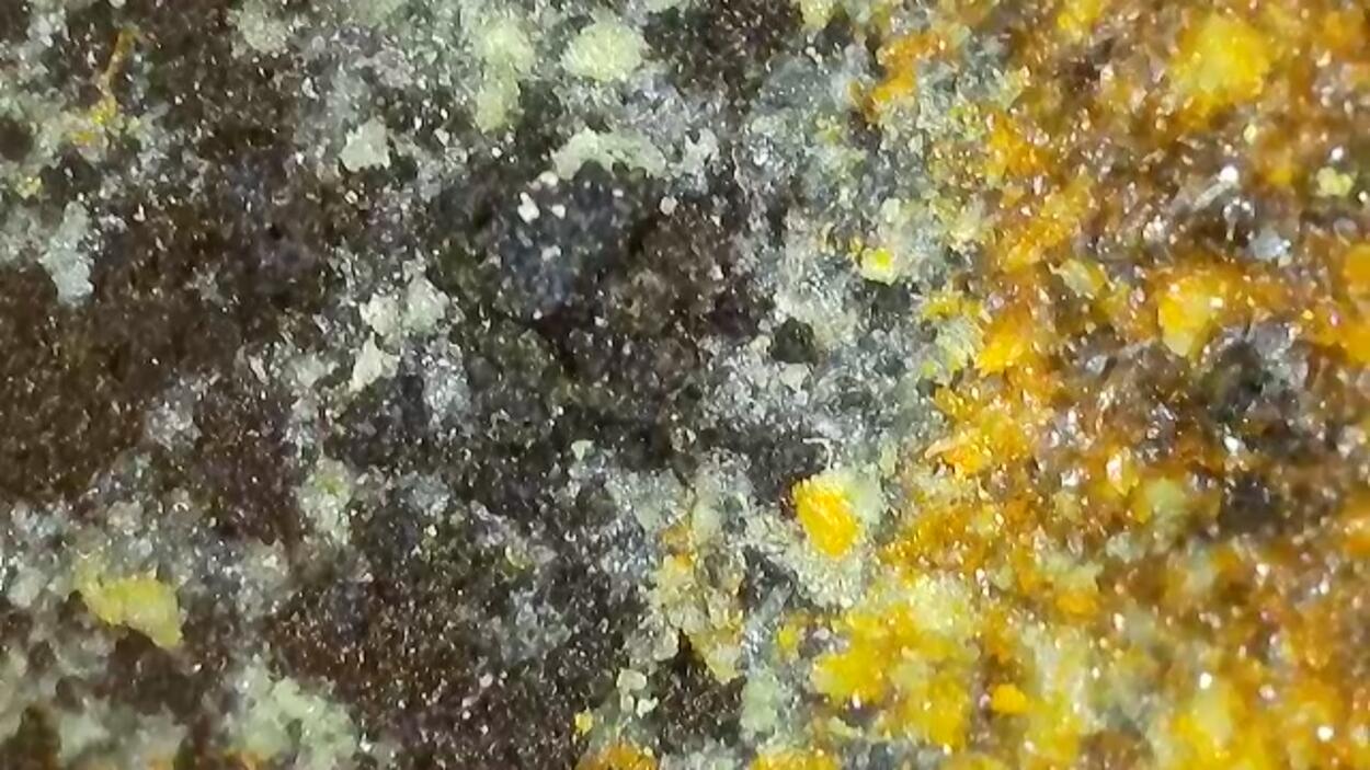Magnesiopascoite With Postite & Carnotite