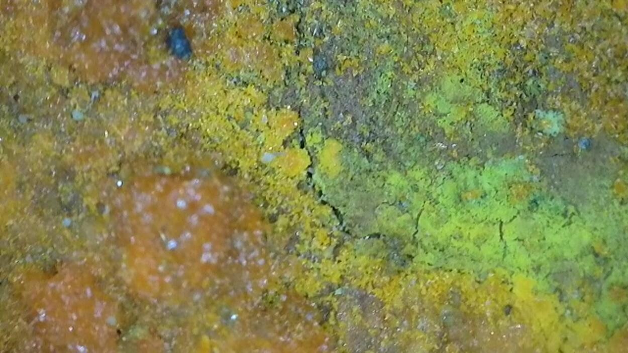 Magnesiopascoite With Postite & Carnotite