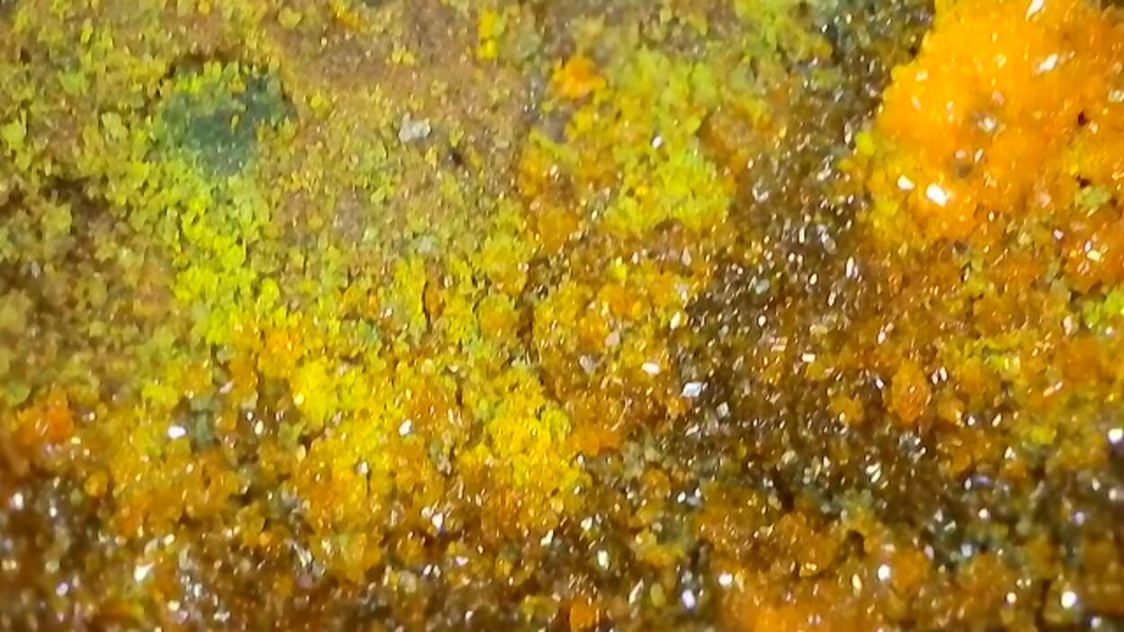 Magnesiopascoite With Postite & Carnotite