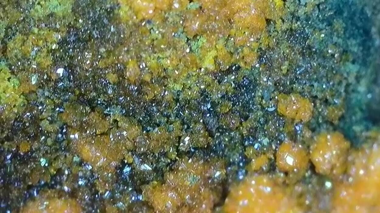 Magnesiopascoite With Postite & Carnotite