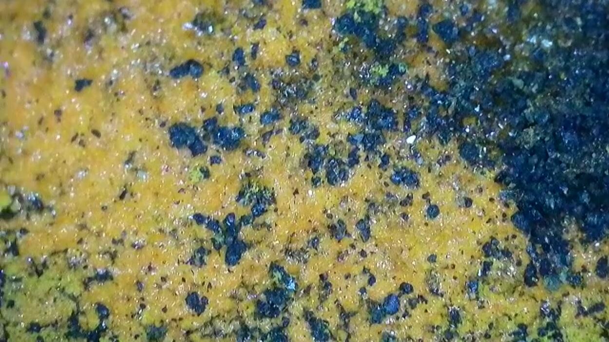 Magnesiopascoite With Postite & Carnotite